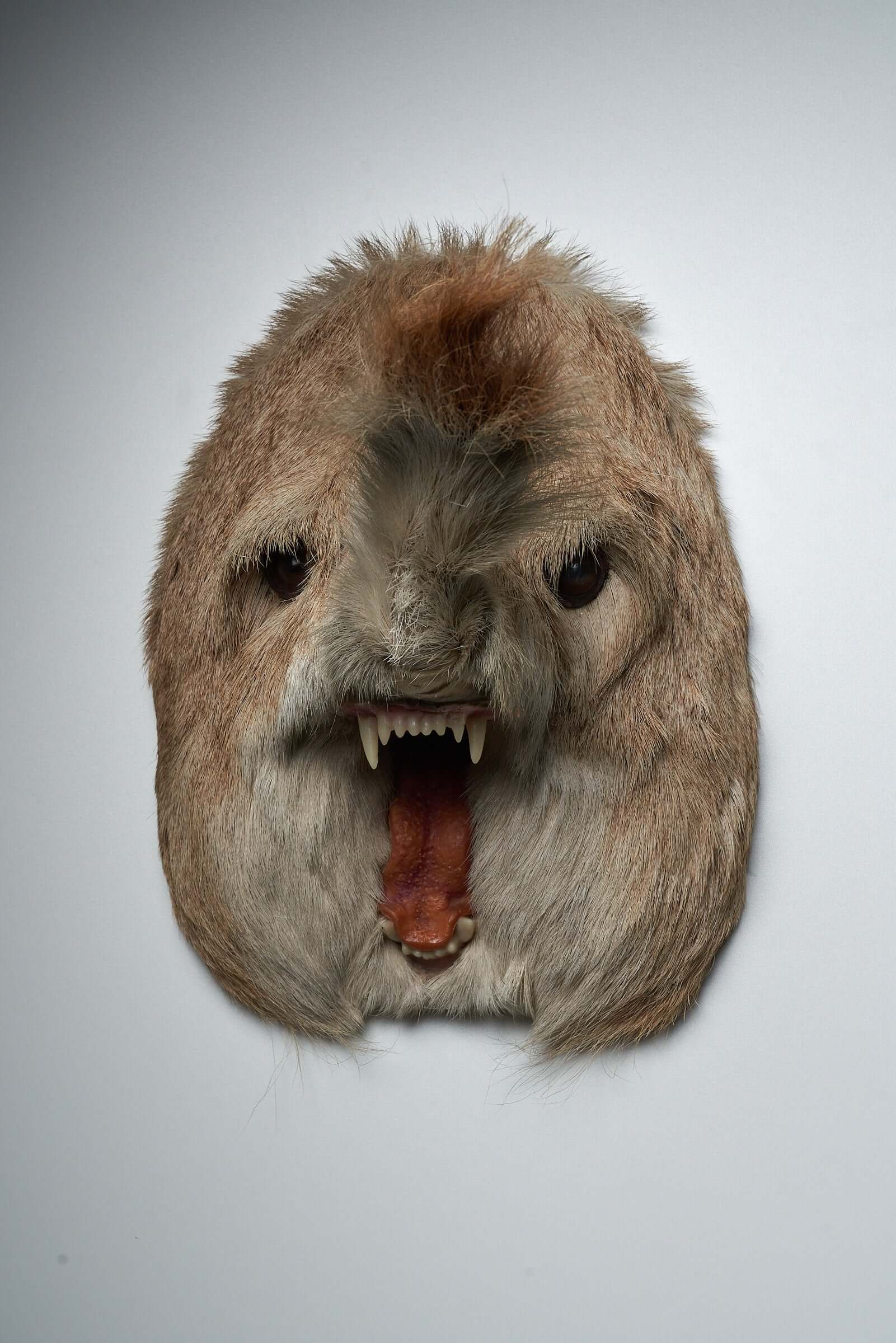 Unique taxidermy hybrid wall mount "Slurfie" with trunk-like snout, sharp fangs, and expressive eyes on a plain background.